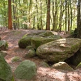 Steingrab Große, moosbedeckte Findlinge eines historischen Steingrabes liegen in einem sonnigen Waldstück.