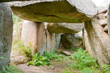Steingrab Innenansicht eines historischen Steingrabs mit großen Findlingen und grünem Farn am Boden.