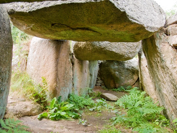Steingrab Innenansicht eines historischen Steingrabs mit großen Findlingen und grünem Farn am Boden.