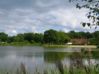 Strand vom Campingplatz Vor einem sanft wellenden Gewässer liegt ein idyllischer Campingplatz, umrahmt von üppigem Grün.