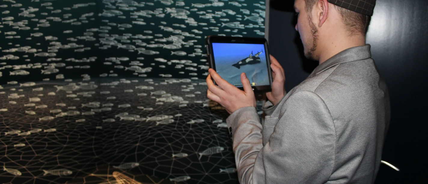 HaiTec in der Urzeit