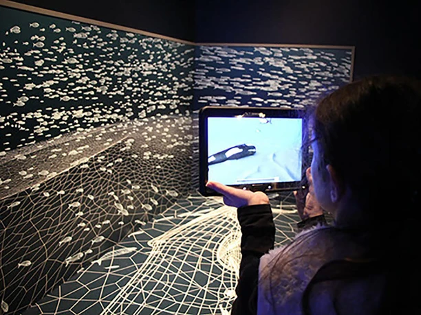 Blick auf den urzeitlichen Meeresboden