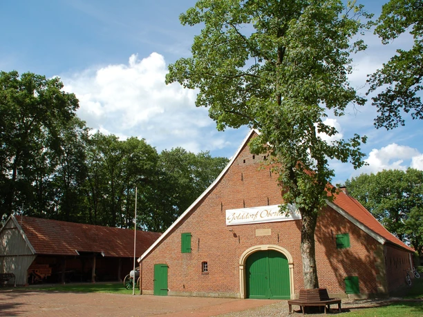 Heimathaus Oberlangen Rotes Backsteinhaus mit grünem Tor und Fensterläden, umgeben von Bäumen unter blauem Himmel.