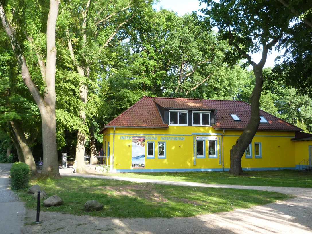 Außenansicht Schmetterlingsfarm und Insektenmuseum Ein gelbes Gebäude mit rotem Dach und mehreren Fenstern, eingebettet in einen grünen Park.A yellow building with a red roof and several windows, nestled in a green park.En gul bygning med rødt tag og flere vinduer, der ligger i en grøn park.Een geel gebouw met een rood dak en verschillende ramen, genesteld in een groen park.