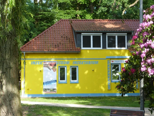 Ein gelbes Gebäude mit rotem Satteldach, umgeben von Bäumen und blühenden Pflanzen. Es zeigt das Insektenmuseum mit Schmetterlingsfarm.A yellow building with a red pitched roof, surrounded by trees and flowering plants. It houses the insect museum with a butterfly farm.En gul bygning med rødt sadeltag, omgivet af træer og blomstrende planter. Den huser insektmuseet med en sommerfuglefarm.Een geel gebouw met een rood schuin dak, omringd door bomen en bloeiende planten. Het huisvest het insectenmuseum met een vlinderboerderij.