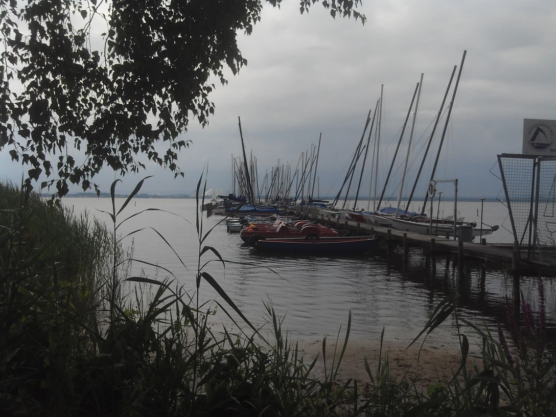 Bootsverleih Kielhorn Am Ufer des Sees liegen Boote still am Steg, umgeben von friedlicher Natur unter einem bewölkten Himmel.