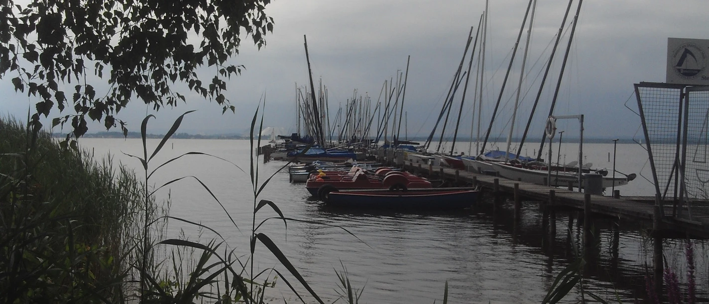 Bootsverleih Kielhorn Am Ufer des Sees liegen Boote still am Steg, umgeben von friedlicher Natur unter einem bewölkten Himmel.