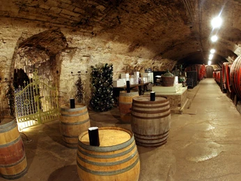 Ein rustikaler Weinkeller mit mehreren Holzfässern, einem geöffneten Tor und dekorativen Lichteffekten.A rustic wine cellar with several wooden barrels, an open gate and decorative lighting effects.En rustik vinkælder med flere trætønder, en åben port og dekorative lyseffekter.Een rustieke wijnkelder met verschillende houten vaten, een open poort en decoratieve verlichtingseffecten.