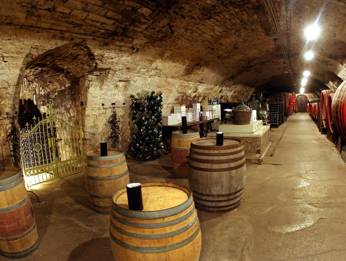 Ein rustikaler Weinkeller mit mehreren Holzfässern, einem geöffneten Tor und dekorativen Lichteffekten.A rustic wine cellar with several wooden barrels, an open gate and decorative lighting effects.En rustik vinkælder med flere trætønder, en åben port og dekorative lyseffekter.Een rustieke wijnkelder met verschillende houten vaten, een open poort en decoratieve verlichtingseffecten.