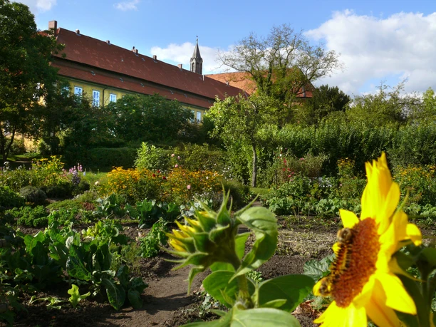 Mariensee monastery garden with magnificent sunflower in the foreground and abbey building in the background.