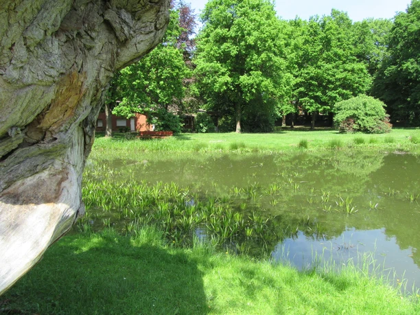 Naturbelassener Grillplatz am Schützenhaus Mardorf, umgeben von Bäumen und einem ruhigen Teich.