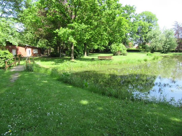 Grillplatz am Schützenhaus Mardorf Grillplatz am Schützenhaus Mardorf mit Picknicktischen neben einem Teich und üppiger Vegetation.