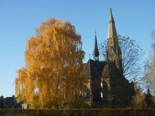 Hagenburg Kirche Herbsttag Eine herbstliche Ansicht der Hagenburger Kirche mit einem goldgelben Baum und strahlend blauem Himmel.