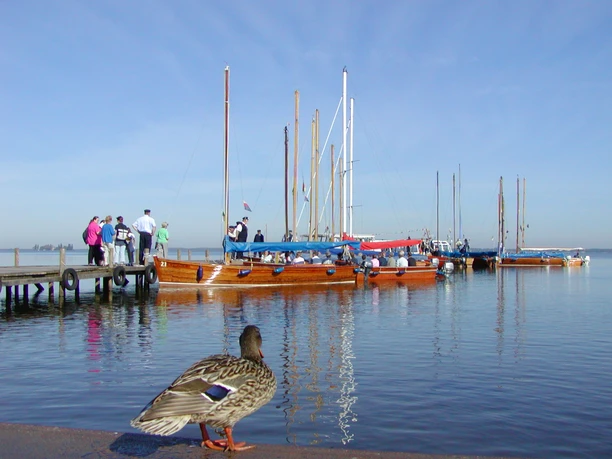 Boats in the harbor with people on a jetty watching the peaceful water scene.