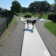 Minigolf Mardorf Eine sonnenbeschienene Minigolfbahn mit einem Täuschungsspielzeughund, umgeben von grüner Vegetation.