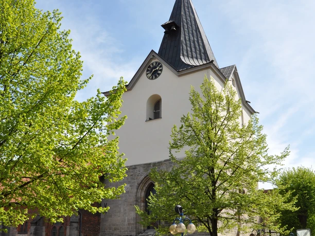Liebfrauenkirche Gothische Kirche mit spitzem Turm vor blauem Himmel, umgeben von grünen Bäumen und Kopfsteinpflaster.