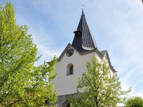 Liebfrauenkirche Gothische Kirche mit spitzem Turm vor blauem Himmel, umgeben von grünen Bäumen und Kopfsteinpflaster.