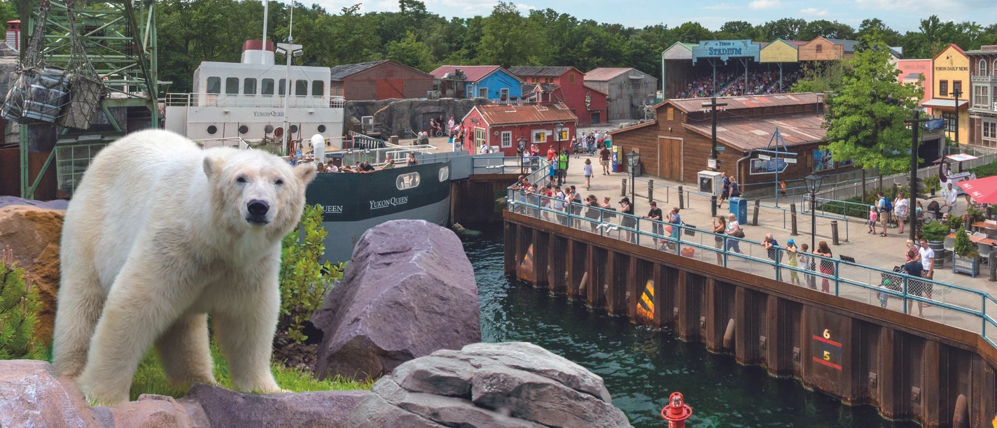 Erlebnis Zoo Hannover Eisbär im Zoo Hannover, vor Kulisse eines Hafenviertels mit bunten Gebäuden und einem Schiff.