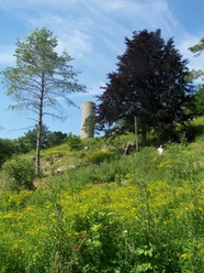 Heinturm bei Ossendorf, umgeben von Bäumen und Wiesen mit gelben Blumen, unter blauem Himmel.