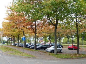 Parkplatz mit Autos, gesäumt von Bäumen in herbstlichen Farben, nahe einem Friedhof.