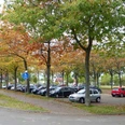 Parkplatz mit Autos, gesäumt von Bäumen in herbstlichen Farben, nahe einem Friedhof.