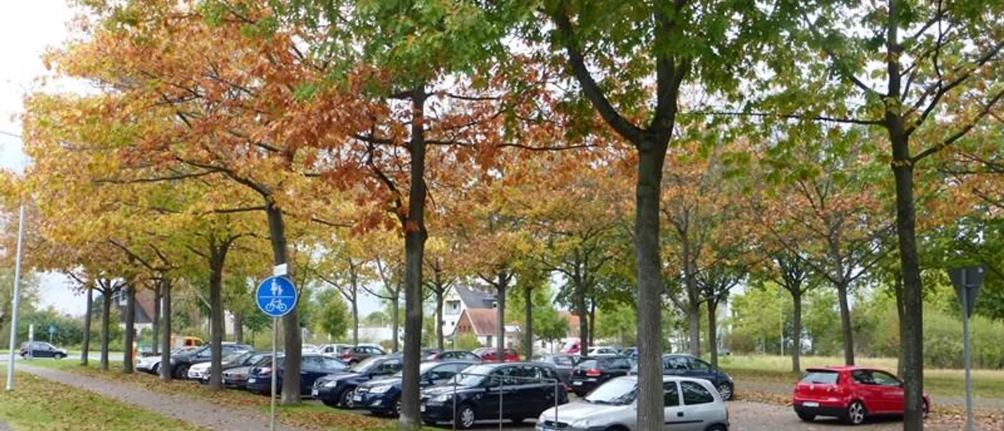 Parkplatz bei Friedhof Auf den Dören Parkplatz mit Autos, gesäumt von Bäumen in herbstlichen Farben, nahe einem Friedhof.