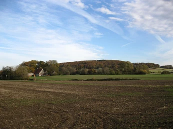 Summstein in Extertal-Laßbruch Hügelige Landschaft mit herbstlich gefärbtem Wald im Hintergrund, Feld und Bauernhof im Vordergrund.