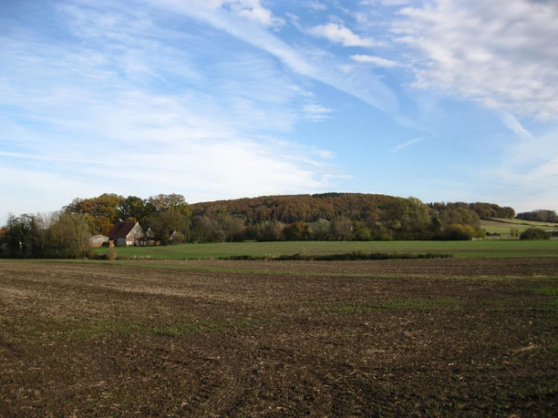 Summstein in Extertal-Laßbruch Hügelige Landschaft mit herbstlich gefärbtem Wald im Hintergrund, Feld und Bauernhof im Vordergrund.