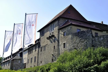 Burg Sternberg Burgruine Sternberg in ländlicher Umgebung mit mehreren wehenden Fahnen des Landesverbandes Lippe.