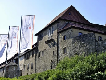 Burg Sternberg Burgruine Sternberg in ländlicher Umgebung mit mehreren wehenden Fahnen des Landesverbandes Lippe.