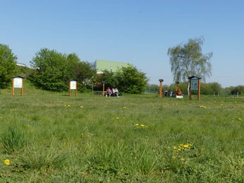 Grüne Wiese mit Infotafeln und Sitzgelegenheiten entlang des Trinkwasser-Lehrpfads bei blauem Himmel.