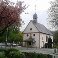 Liborikapelle Paderborn Eine kleine Kapelle mit Schindeldach und Turm, umgeben von blühenden Bäumen und Straßenpflaster.