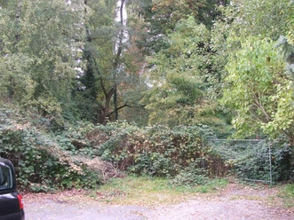 Waldstück mit hohen Bäumen und Gebüsch, daneben ein Auto und ein Metallzaun auf Kiesboden.