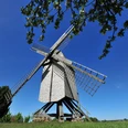Bockwindmühle vor strahlend blauem Himmel, umgeben von Bäumen mit üppig blühenden Zweigen.