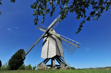 Bockwindmühle Neuenknick Bockwindmühle vor strahlend blauem Himmel, umgeben von Bäumen mit üppig blühenden Zweigen.