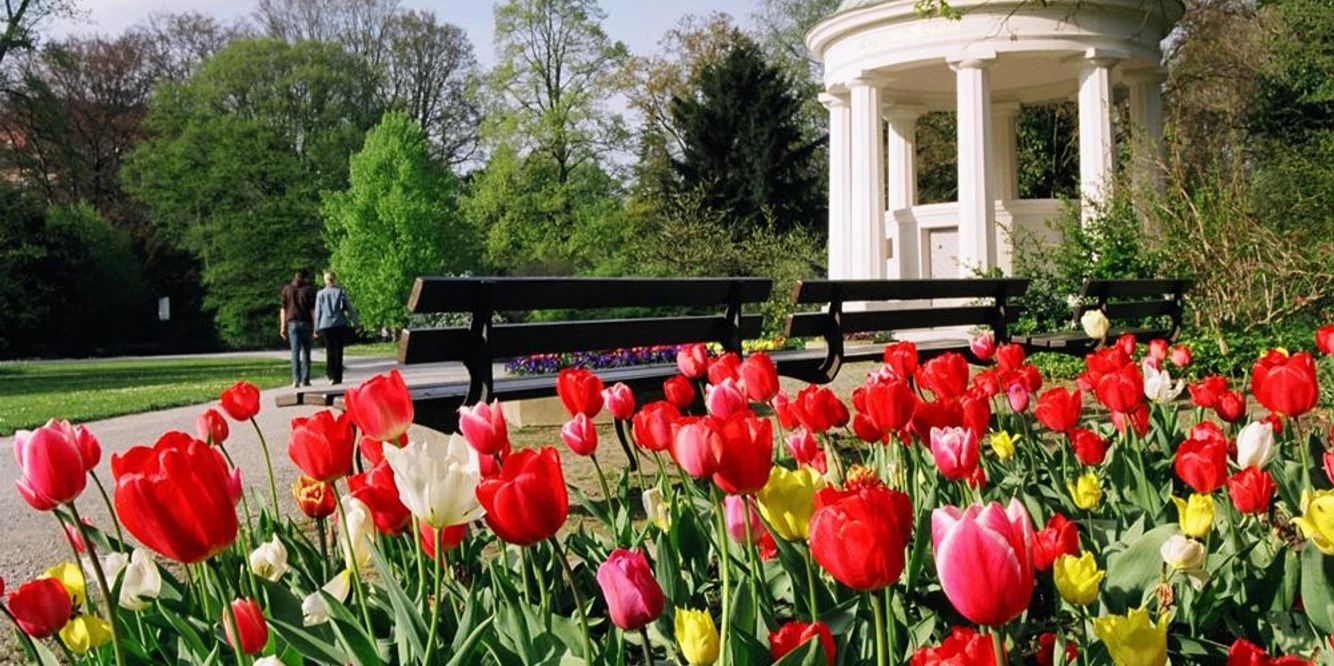 Leopoldsprudel Bunter Tulpenbeet in einem gepflegten Park mit klassizistischem Pavillon und Paar beim Spaziergang.
