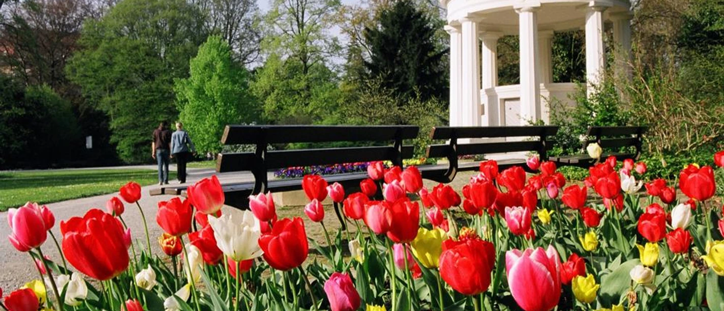 Leopoldsprudel Bunter Tulpenbeet in einem gepflegten Park mit klassizistischem Pavillon und Paar beim Spaziergang.