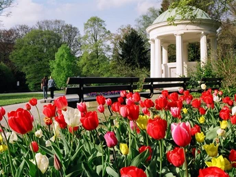 Leopoldsprudel Bunter Tulpenbeet in einem gepflegten Park mit klassizistischem Pavillon und Paar beim Spaziergang.