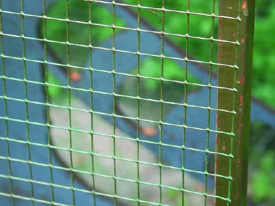 Goldener Käfig Ein goldfarbenes Gitter mit grünem Rahmen vor unscharfem, grünen Hintergrund und verschwommenem Boden.