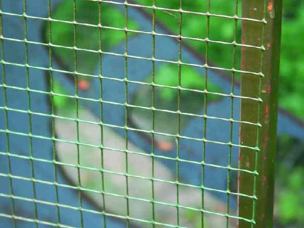 Goldener Käfig Ein goldfarbenes Gitter mit grünem Rahmen vor unscharfem, grünen Hintergrund und verschwommenem Boden.