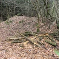 Wegesperre Uekenpohl Ein mit Laub bedeckter Waldboden, darauf liegen lose gestapelte Baumstämme und Äste.