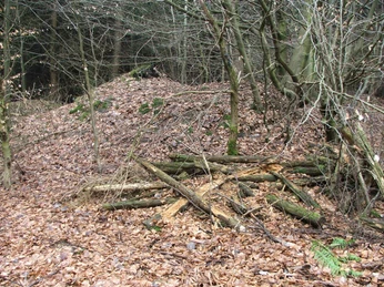 Wegesperre Uekenpohl Ein mit Laub bedeckter Waldboden, darauf liegen lose gestapelte Baumstämme und Äste.