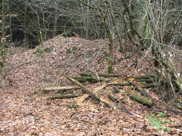 Wegesperre Uekenpohl Ein mit Laub bedeckter Waldboden, darauf liegen lose gestapelte Baumstämme und Äste.
