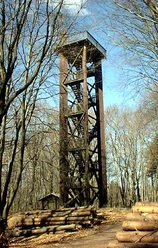 Aussichtsturm Hölzerner Aussichtsturm im Wald mit freiem Blick durch die Bäume auf den blauen Himmel.