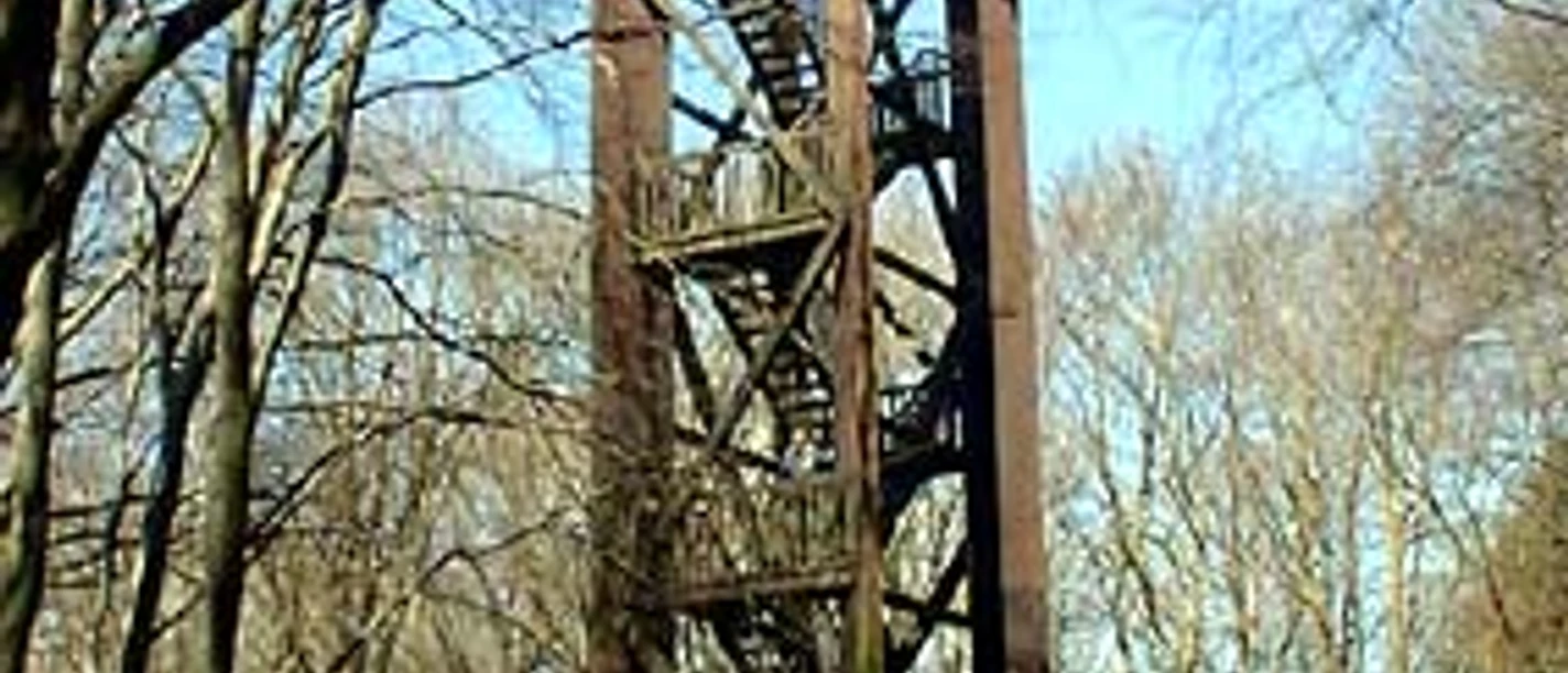 Aussichtsturm Hölzerner Aussichtsturm im Wald mit freiem Blick durch die Bäume auf den blauen Himmel.