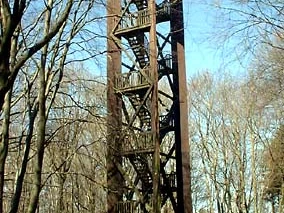Aussichtsturm Hölzerner Aussichtsturm im Wald mit freiem Blick durch die Bäume auf den blauen Himmel.
