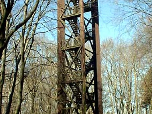 Aussichtsturm Hölzerner Aussichtsturm im Wald mit freiem Blick durch die Bäume auf den blauen Himmel.