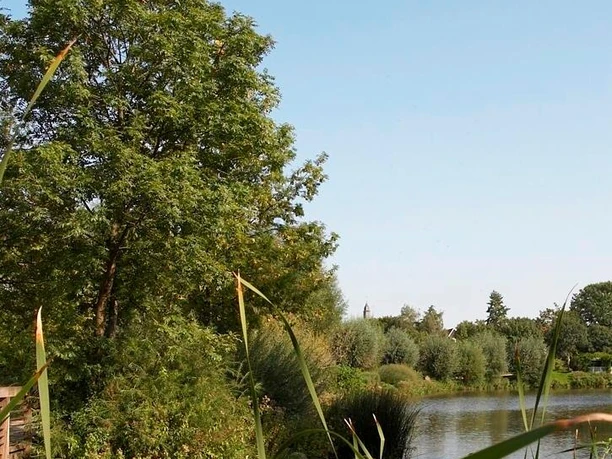 Ein idyllischer See inmitten üppiger Vegetation mit Schilf, Bäumen und klarem, blauem Himmel.