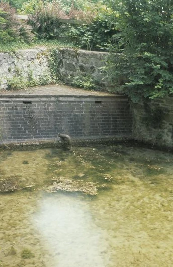 Quelle am Nikolausdenkmal Ursprüngliche Wasserquelle mit Steinmauern, umgeben von grüner Vegetation und klarem Wasser.