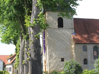 Historische Kirche mit hellem Turm, flankiert von hohen, belaubten Bäumen und angrenzenden Häusern.
